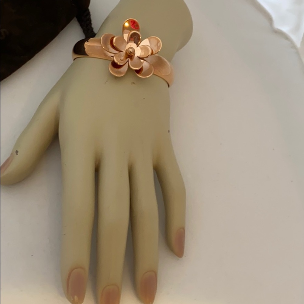 Michael Kors jewelry